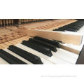 Special customized piano for sale